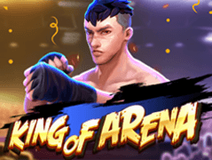 King Of Arena game thumbnail